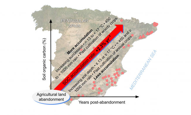 Factors influencing soil organic carbon accumulation in Peninsular Spain.