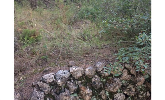 Abandoned stone terrace walls and stone huts (Catalonia, Spain).