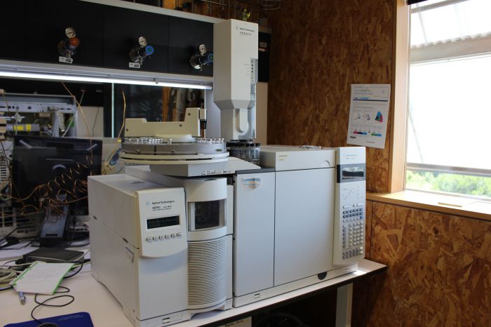 GC-MS Agilent (model GC7890 – MS5975) with autosampler